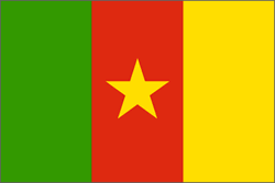 bandiera del Camerun